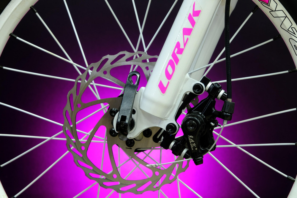 Lorak Shark 20 White