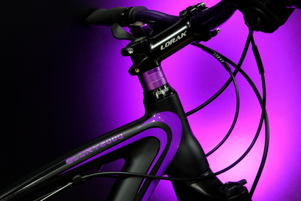 Lorak Glory 2000 Матовый Чёрный/Фиолетовый рама 19 (на рост 171-182)