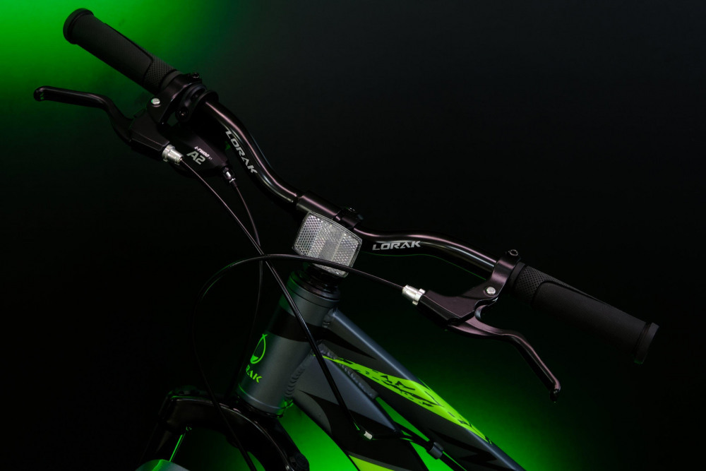 LORAK Safe PLUS 24 Серебристый/Зелёный