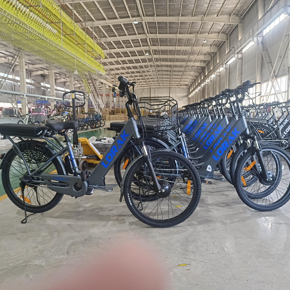 LORAK E-Delta S Серый/Синий